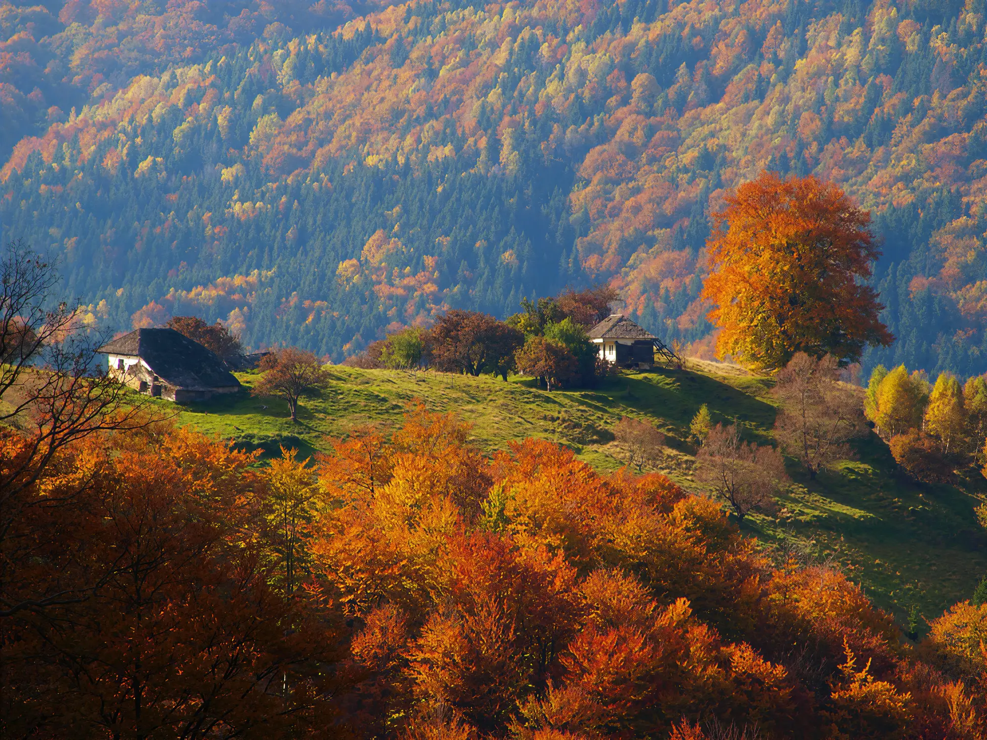Peisaj de toamnă din Transilvania